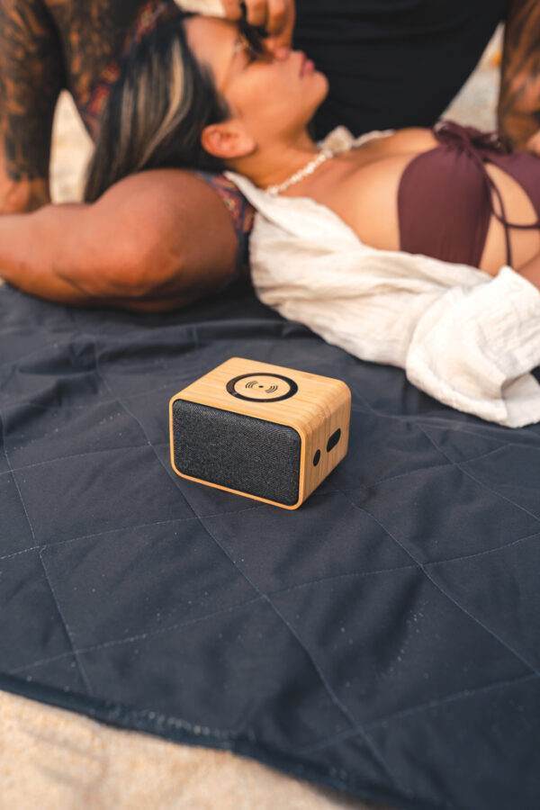 RCS Rplastic 3W speaker with bamboo 5W wireless - Image 13