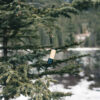Bamboo and RCS certfied recycled plastic torch - Image 9